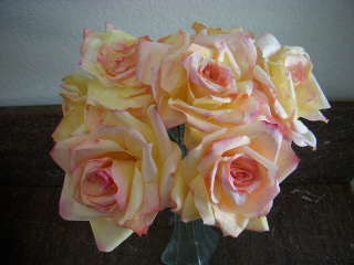 roses.jpg